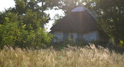 "Це для мене все моє життя". Історія Надії Єрмілової, яка проживає у майже спорожнілому селі "Це для мене все моє життя". Історія Надії Єрмілової, яка проживає у майже спорожнілому селі