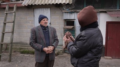 "Вони на вулиці будуть приречені": зооволонтерка з Вінниччини знайшла прихисток двом голубам "Вони на вулиці будуть приречені": зооволонтерка з Вінниччини знайшла прихисток двом голубам