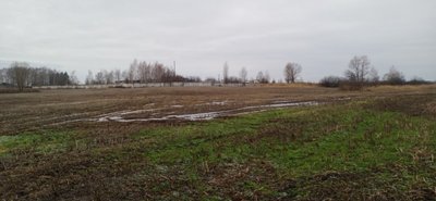 Вода брудна те смердить: у Брусилові місцеві жителі зафіксували скид нечистот в річку Батиївка Вода брудна те смердить: у Брусилові місцеві жителі зафіксували скид нечистот в річку Батиївка