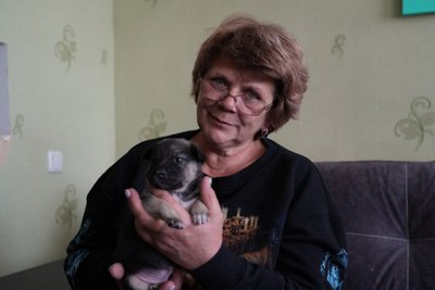Єдине вижило під завалами. На Дніпропетровщині зооволонтерка виходжує вціліле після удару КАБами цуценя з Краматорська Єдине вижило під завалами. На Дніпропетровщині зооволонтерка виходжує вціліле після удару КАБами цуценя з Краматорська
