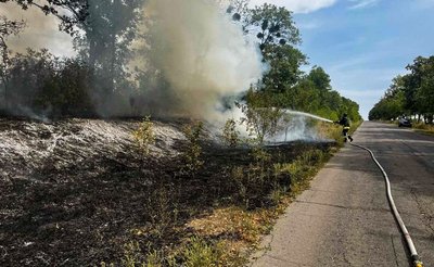 Через пожежі сухостою горять будівлі: на Черкащині за добу сталися 11 пожеж