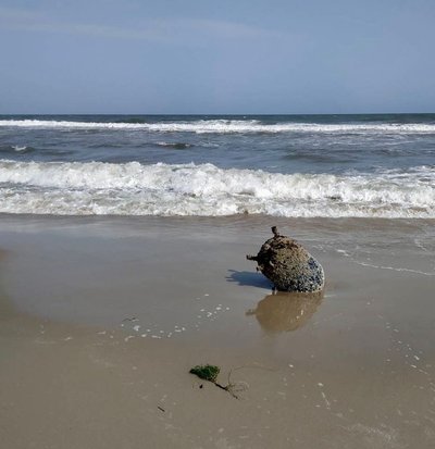 Морська міна Морська міна