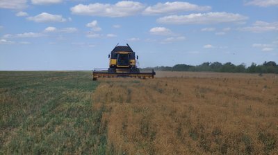 На Миколаївщині зібрали понад два мільйона тонн зерна: як тривають жнива та що з цінами