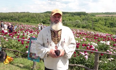 У Холодному Яру на Черкащині розквітли три тисячі кущів півоній У Холодному Яру на Черкащині розквітли три тисячі кущів півоній