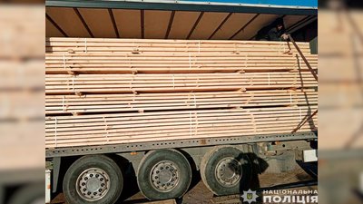 На Чернігівщині оголосили підозру директору приватного підприємства, який збував незаконно добуту деревину за кордон