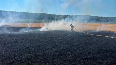 Горіли сухостій та сміття: на Черкащині протягом доби виникло 15 пожеж Горіли сухостій та сміття: на Черкащині протягом доби виникло 15 пожеж