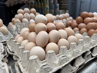 На 25% здорожчали яйця на Полтавщині: з чим це пов’язано та чого очікувати далі На 25% здорожчали яйця на Полтавщині: з чим це пов’язано та чого очікувати далі
