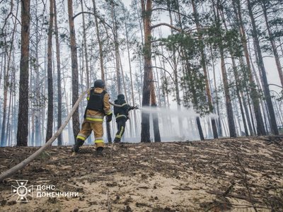 Лісова пожежа Лісова пожежа