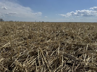 "Практично урожай втрачений": як негода знищила поля в Кобеляцькій громаді "Практично урожай втрачений": як негода знищила поля в Кобеляцькій громаді