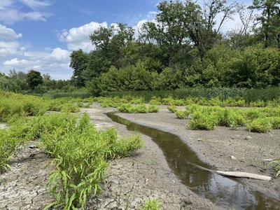 У Полтави зникла вода в одному із Пушкарівських ставків: чому потрібні гідротехніки У Полтави зникла вода в одному із Пушкарівських ставків: чому потрібні гідротехніки