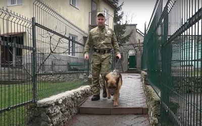 собака, кінолог собака, кінолог