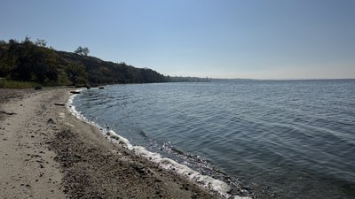 Цвітіння води, стоки та дрейфуючі міни: екологія Чорного моря очима експертів Цвітіння води, стоки та дрейфуючі міни: екологія Чорного моря очима експертів
