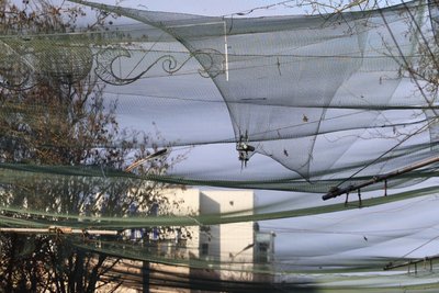 Кількість загиблих і поранених цивільних зросла на 280%. На Херсонщині за тиждень фіксують до двох тисяч дронових атак Кількість загиблих і поранених цивільних зросла на 280%. На Херсонщині за тиждень фіксують до двох тисяч дронових атак