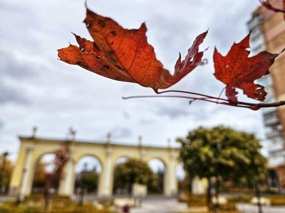 Осінь у відремонтованому сквері “Мистецькі ворота” Житомира: фоторепортаж Осінь у відремонтованому сквері “Мистецькі ворота” Житомира: фоторепортаж