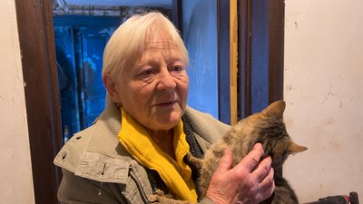 «Вони мене тримають на світі»: 77-річна чернігівка прихистила 17 котів та п'ять собак