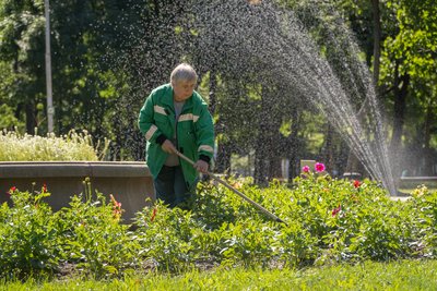 "Жили без світла, газу та води, а на вулицях стирчали снаряди". Історія переселенки з Бахмута "Жили без світла, газу та води, а на вулицях стирчали снаряди". Історія переселенки з Бахмута