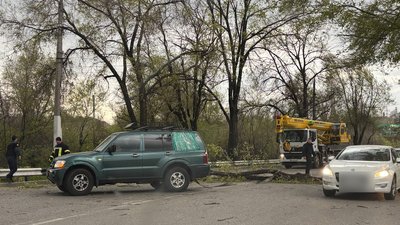 Негода в Запоріжжі: сильний вітер вирує містом Негода в Запоріжжі: сильний вітер вирує містом