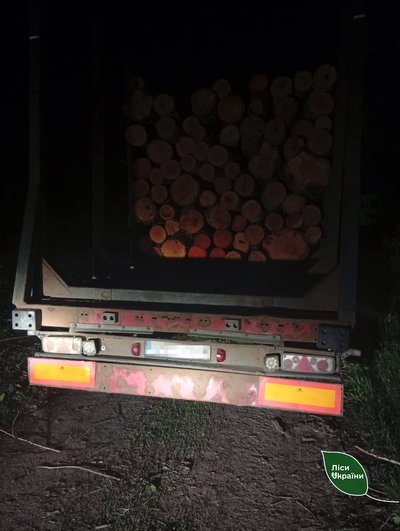 На Житомирщині рейдова група виявила незаконну рубку лісу На Житомирщині рейдова група виявила незаконну рубку лісу