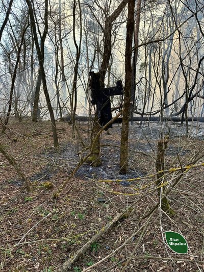 На Черкащині гасили дві пожежі у лісах, спричинені російськими обстрілами На Черкащині гасили дві пожежі у лісах, спричинені російськими обстрілами
