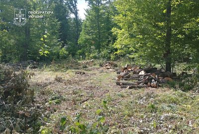 Експосадовця лісгоспу на Дніпропетровщині судитимуть за підозрою у незаконній порубці лісу в ландшафтному заказнику Експосадовця лісгоспу на Дніпропетровщині судитимуть за підозрою у незаконній порубці лісу в ландшафтному заказнику
