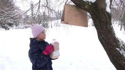 Сало, насіння, горіхи, крупи. Як діти годують птахів у Рівному Сало, насіння, горіхи, крупи. Як діти годують птахів у Рівному