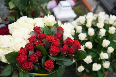 "Це діти, які були дані Богом". Батьки загиблих братів Савченків з Сум розповіли їхню історію "Це діти, які були дані Богом". Батьки загиблих братів Савченків з Сум розповіли їхню історію