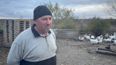 Василь Схаб’юк у своєму господарстві вирощує холмогорські гуси і лавандові качки Василь Схаб’юк у своєму господарстві вирощує холмогорські гуси і лавандові качки
