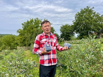 Продаж лохини Продаж лохини