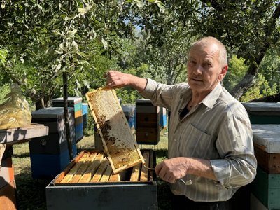«Чують вибухи раніше за сповіщення»: як на Полтавщині бережуть унікальних бджіл під час війни «Чують вибухи раніше за сповіщення»: як на Полтавщині бережуть унікальних бджіл під час війни
