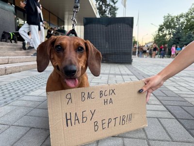 "Рада завтра на роботу". Дніпро мітингує проти закону щодо НАБУ та САП: день третій "Рада завтра на роботу". Дніпро мітингує проти закону щодо НАБУ та САП: день третій