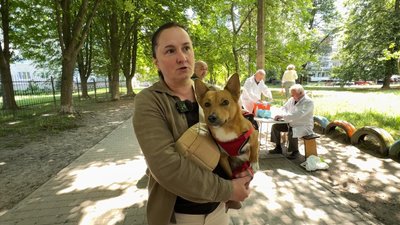 вакцинація тварин вакцинація тварин