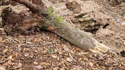 На Тернопільщині обвалилася скеля на водоспаді На Тернопільщині обвалилася скеля на водоспаді