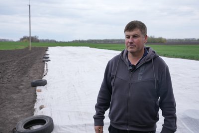 Скільки коштує рання посадкова картопля на Полтавщині та чи почали вже її садити Скільки коштує рання посадкова картопля на Полтавщині та чи почали вже її садити