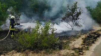 На Черкащині за добу сталися вісім пожеж на відкритих територіях