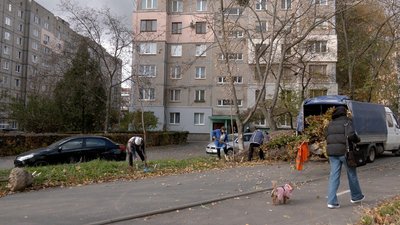 "Повирізали, то треба понасаджувати": у Вінниці триває озеленення міста "Повирізали, то треба понасаджувати": у Вінниці триває озеленення міста