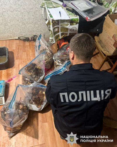 Виявили незаконний обіг бурштину на понад два мільйони гривень на Рівненщині — поліція Виявили незаконний обіг бурштину на понад два мільйони гривень на Рівненщині — поліція