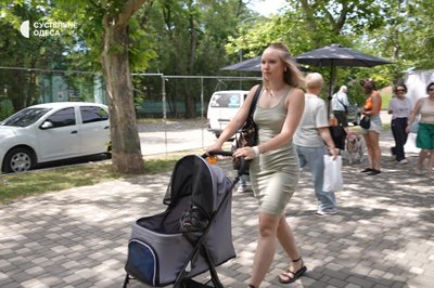 Свідоме пет-батьківство та допомога притулкам: в Одесі вперше відбувся "Песики Фест" Свідоме пет-батьківство та допомога притулкам: в Одесі вперше відбувся "Песики Фест"