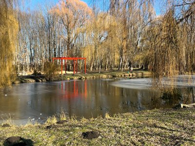 Терапевтичний парк, у японському стилі, Тернопіль, січень 2025 Терапевтичний парк, у японському стилі, Тернопіль, січень 2025