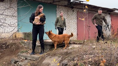 Евакуація тварин UAnimals Донецька область 9 листопада 2025 рік Евакуація тварин UAnimals Донецька область 9 листопада 2025 рік
