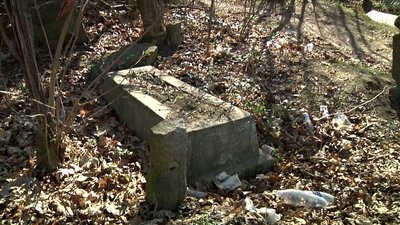 Сміттєзвалище на Пилипонівському кладовищі у Житомирі: що кажуть містяни та влада Сміттєзвалище на Пилипонівському кладовищі у Житомирі: що кажуть містяни та влада