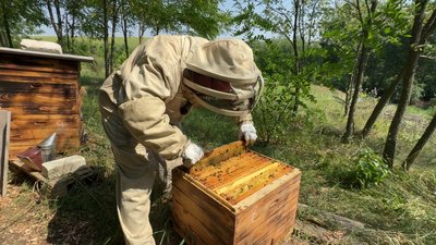 «Праця на природі лікує душу»: ветеран із Кіровоградщини після полону втілив мрію й став пасічником «Праця на природі лікує душу»: ветеран із Кіровоградщини після полону втілив мрію й став пасічником