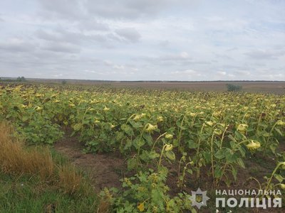 Тисяча сто тридцять другий день війни. Хроніка подій в Одесі та Одеській області Тисяча сто тридцять другий день війни. Хроніка подій в Одесі та Одеській області