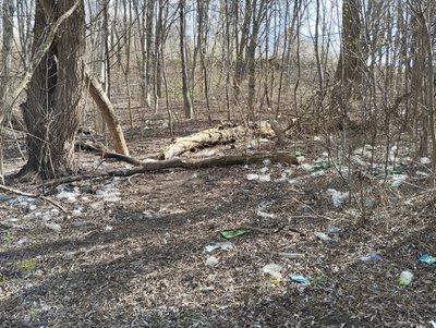 Засмічені береги Пушкарівських ставків у Полтаві: чи будуть наводити лад Засмічені береги Пушкарівських ставків у Полтаві: чи будуть наводити лад