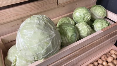 Капуста білоголова Капуста білоголова