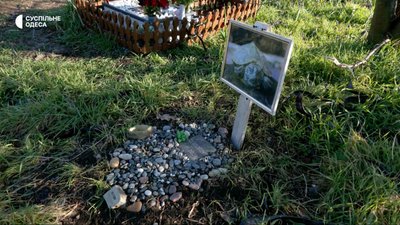В Одесі посеред парку розростається стихійне кладовище домашніх тварин: відео В Одесі посеред парку розростається стихійне кладовище домашніх тварин: відео