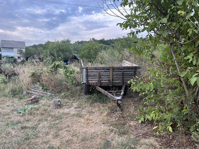 На Полтавщині почали заготовляти дрова: яка ціна та як придбати На Полтавщині почали заготовляти дрова: яка ціна та як придбати