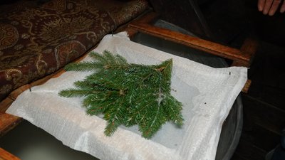 Карпати, сир, молоко, Франківщина Карпати, сир, молоко, Франківщина