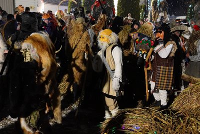 красноїльська маланка красноїльська маланка