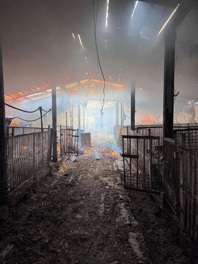 Загибла на Синельниківщині, поранений рятувальник, обмін полоненими. Головні новини Дніпра та області 24 серпня