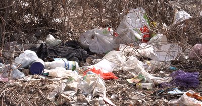 У приватному секторі Самарівки у Дніпрі жителі скаржаться на нерегулярний вивіз сміття: що кажуть комунальники У приватному секторі Самарівки у Дніпрі жителі скаржаться на нерегулярний вивіз сміття: що кажуть комунальники